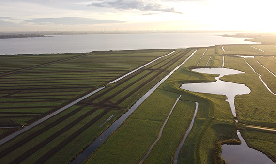 De kampen